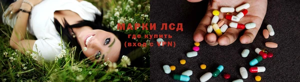 spice Аркадак