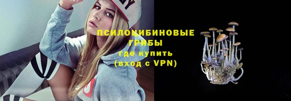 не бодяженный Арсеньев