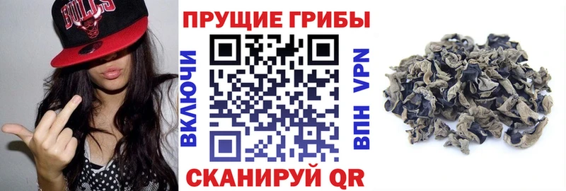 Псилоцибиновые грибы Cubensis  Углегорск 